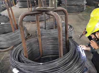 외관 검사-사이트