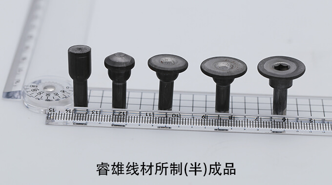 X10CrNi18-8 찬 강철 철사